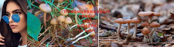 кокаин Ладушкин