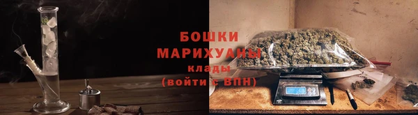 PSILOCYBIN Куйбышев