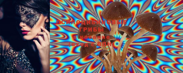 PSILOCYBIN Куйбышев