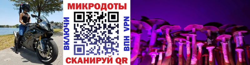 mega ССЫЛКА Тюкалинск Псилоцибиновые грибы прущие грибы